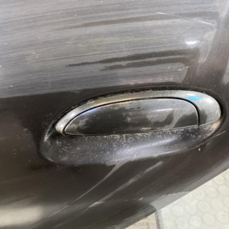 Porte arriere gauche RENAULT CLIO 2 CAMPUS