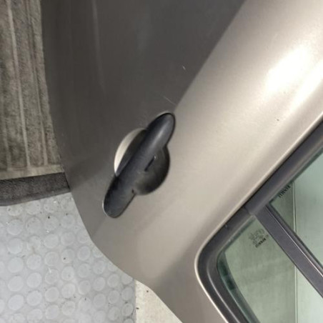 Porte arriere gauche RENAULT CLIO 3