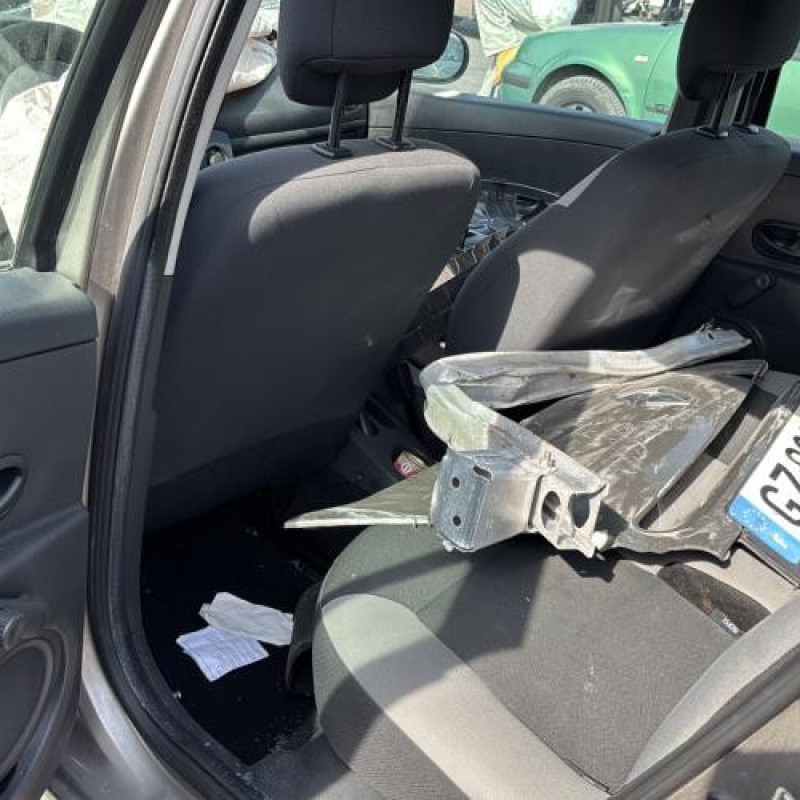 Porte arriere gauche RENAULT CLIO 3 Photo n°17
