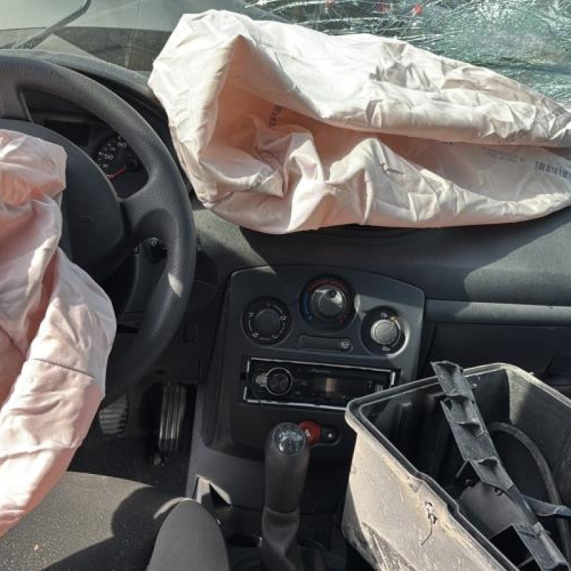 Porte arriere gauche RENAULT CLIO 3 Photo n°19