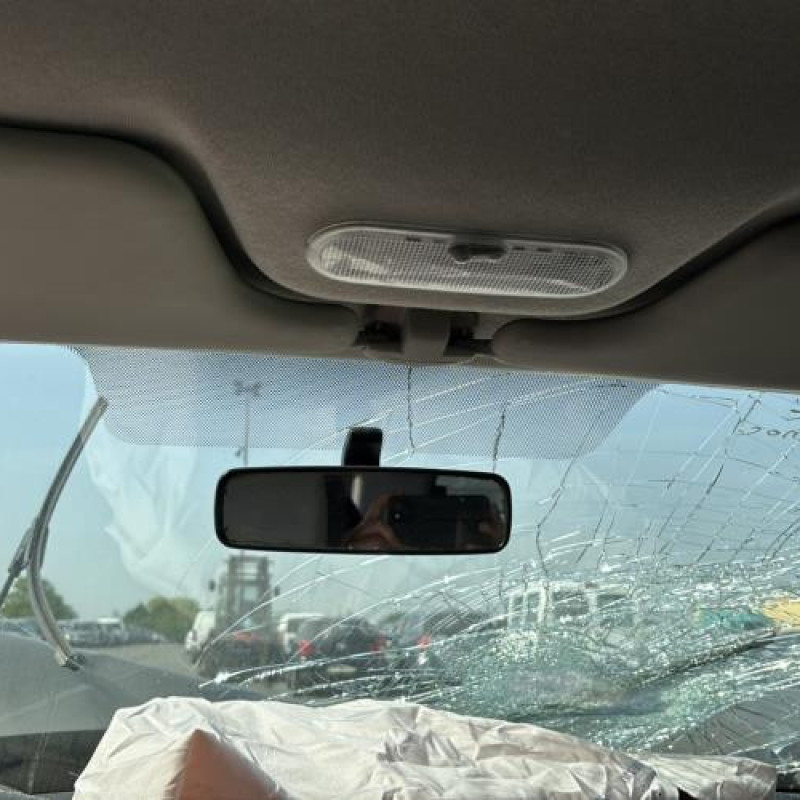 Porte arriere gauche RENAULT CLIO 3 Photo n°20