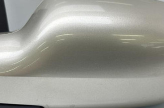 Retroviseur gauche RENAULT MEGANE 2