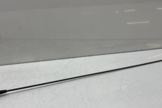 Antenne CITROEN SAXO Photo n°1