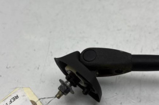 Antenne CITROEN SAXO
