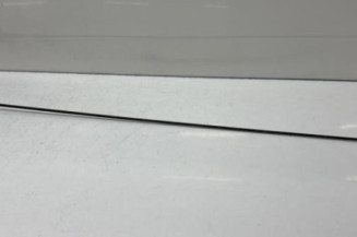 Antenne CITROEN SAXO