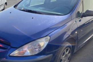 Bouton de warning PEUGEOT 307