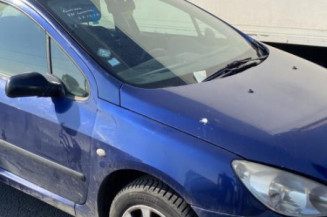 Bouton de warning PEUGEOT 307