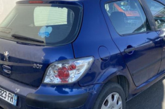 Bouton de warning PEUGEOT 307
