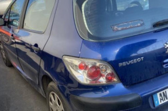 Bouton de warning PEUGEOT 307