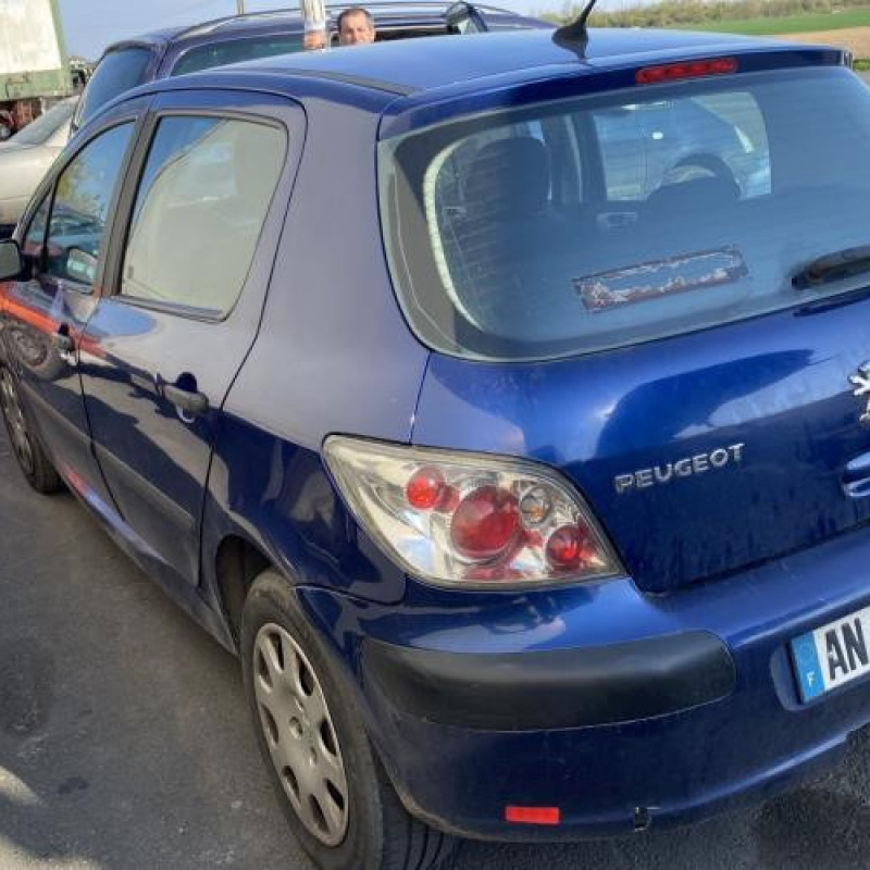Bouton de warning PEUGEOT 307 Photo n°7