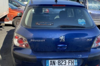 Bouton de warning PEUGEOT 307