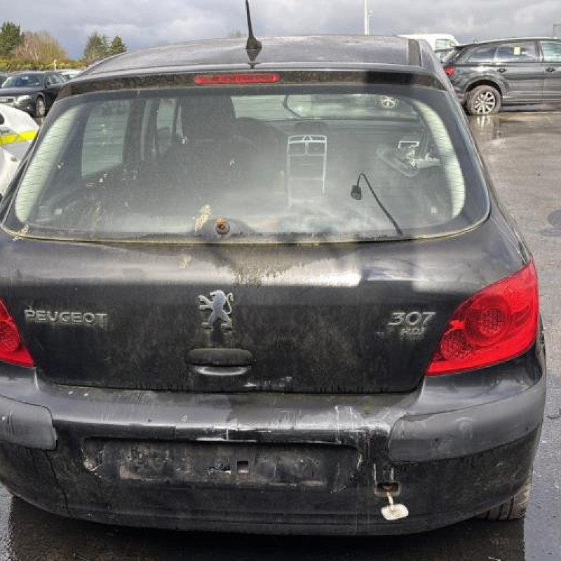 Custode avant droit (porte) PEUGEOT 307 Photo n°9