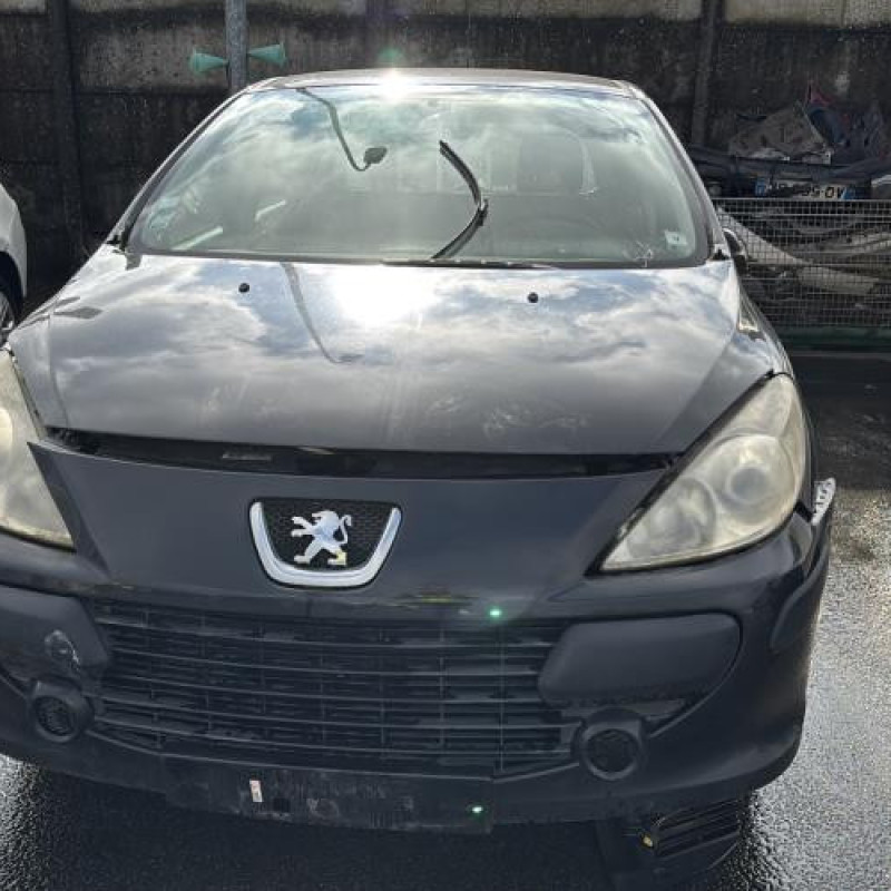 Custode avant droit (porte) PEUGEOT 307 Photo n°12