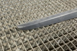 Baguette de porte arriere droite RENAULT CLIO 3