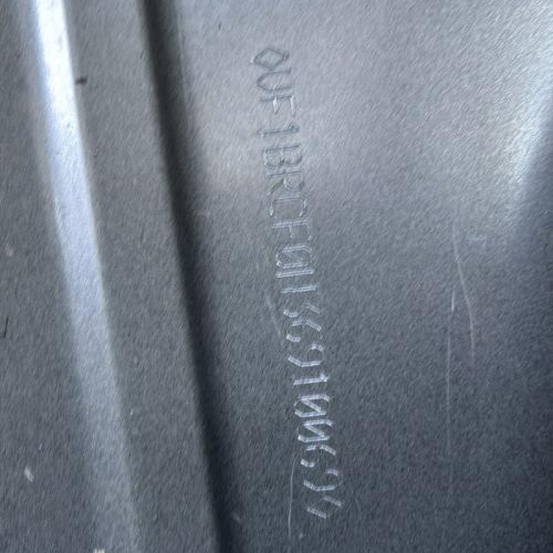 Baguette de porte arriere droite RENAULT CLIO 3 Photo n°18