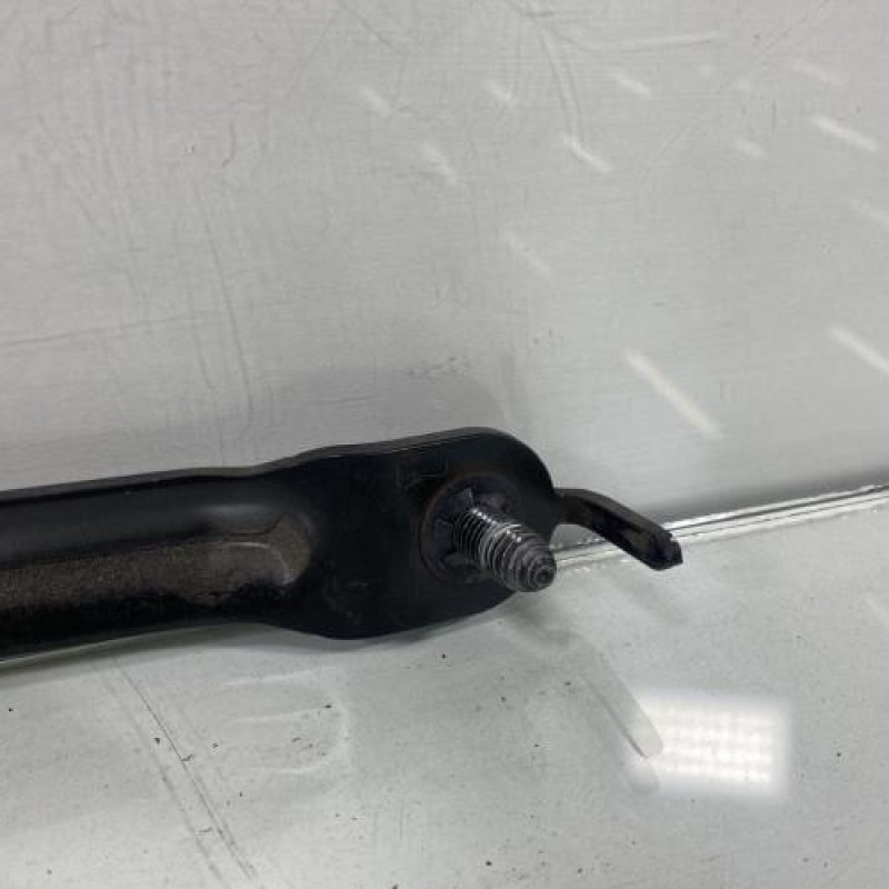 Attache ceinture avant gauche RENAULT SCENIC 3 Photo n°4
