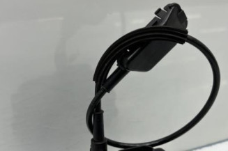 Serrure arriere gauche RENAULT LAGUNA 2