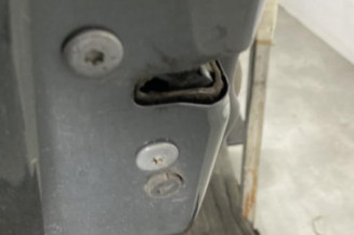 Porte arriere gauche CITROEN C3 2