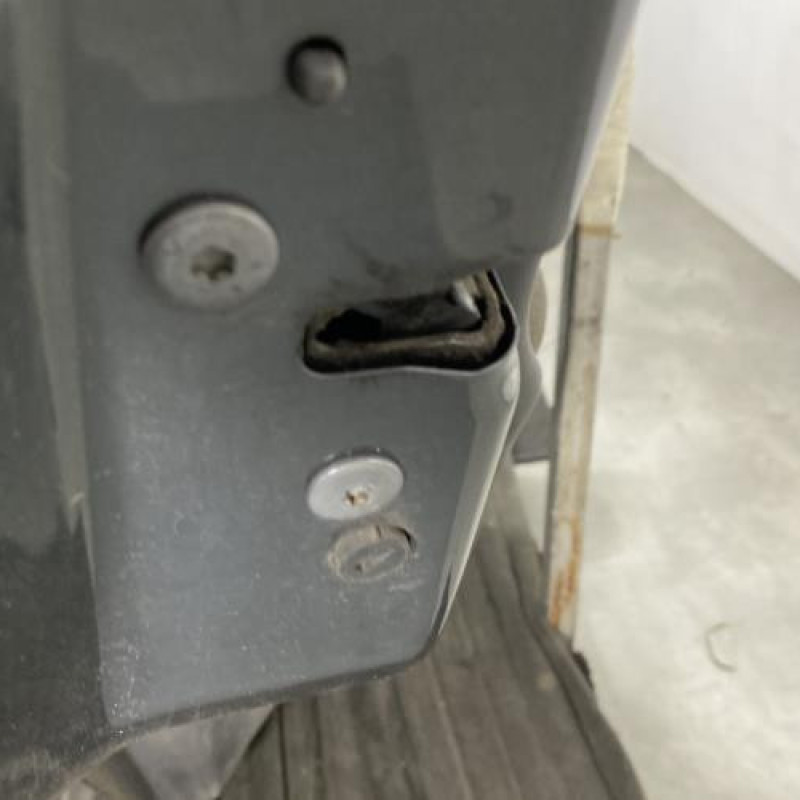 Porte arriere gauche CITROEN C3 2 Photo n°2
