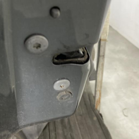Porte arriere gauche CITROEN C3 2