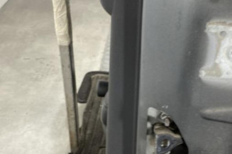 Porte arriere gauche CITROEN C3 2