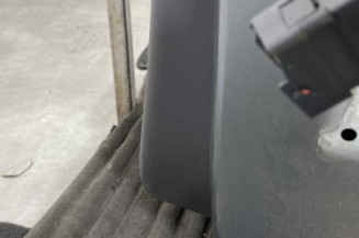 Porte arriere gauche CITROEN C3 2