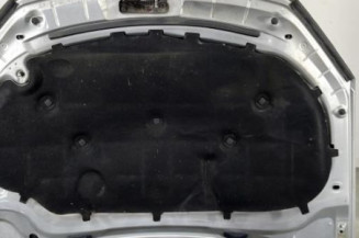 Capot VOLKSWAGEN GOLF 6