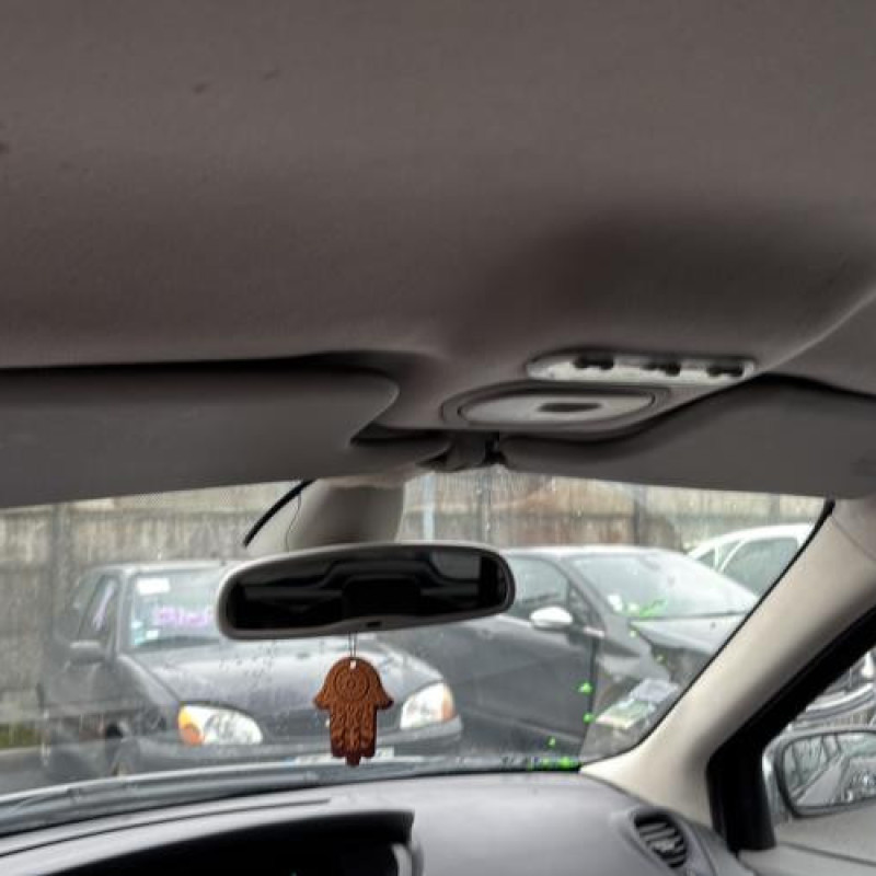 Leve vitre electrique avant droit RENAULT SCENIC 2 Photo n°18