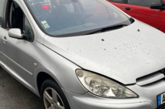 Maitre cylindre (freinage) PEUGEOT 307