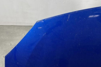 Capot RENAULT TWINGO 2
