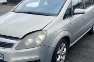 Malle/Hayon arriere OPEL ZAFIRA B