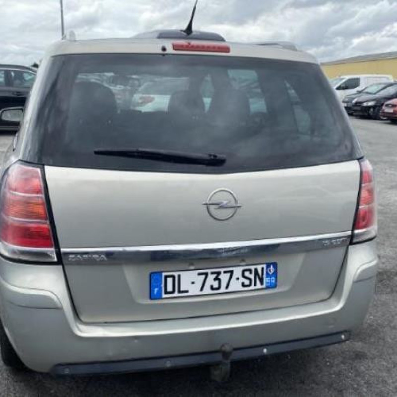 Malle/Hayon arriere OPEL ZAFIRA B Photo n°18