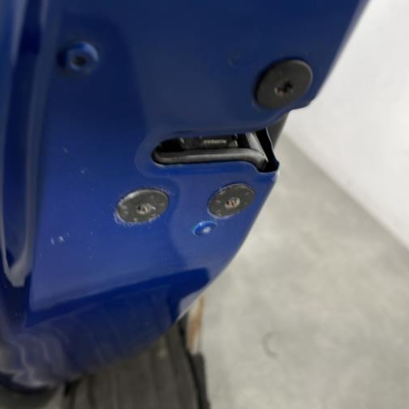 Porte arriere gauche RENAULT SCENIC 3 Photo n°3