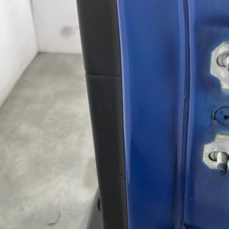 Porte arriere gauche RENAULT SCENIC 3 Photo n°4