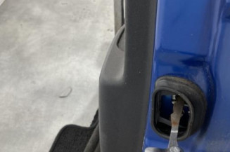 Porte arriere gauche RENAULT SCENIC 3