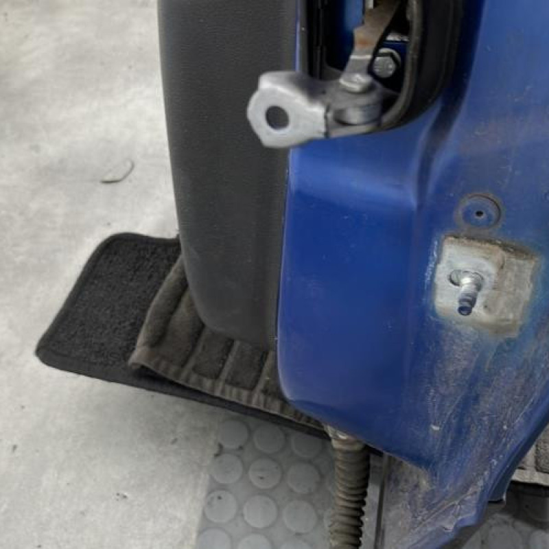 Porte arriere gauche RENAULT SCENIC 3 Photo n°6
