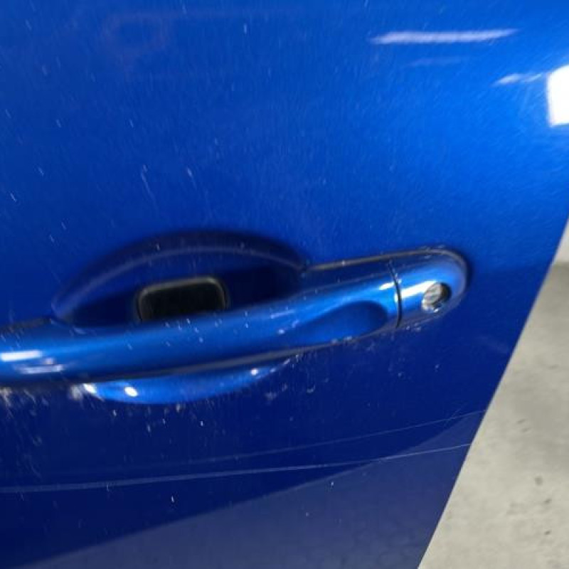 Porte avant gauche RENAULT SCENIC 3 Photo n°2