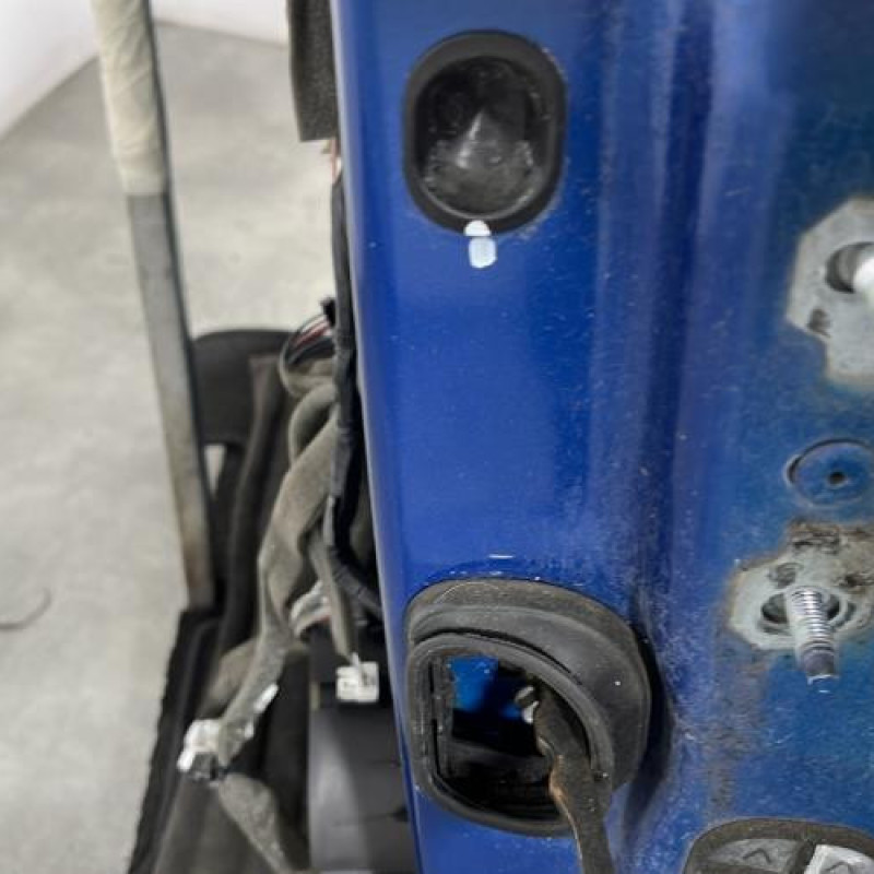 Porte avant gauche RENAULT SCENIC 3 Photo n°4