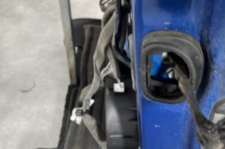 Porte avant gauche RENAULT SCENIC 3