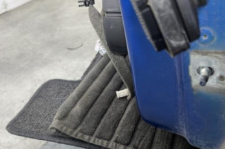 Porte avant gauche RENAULT SCENIC 3