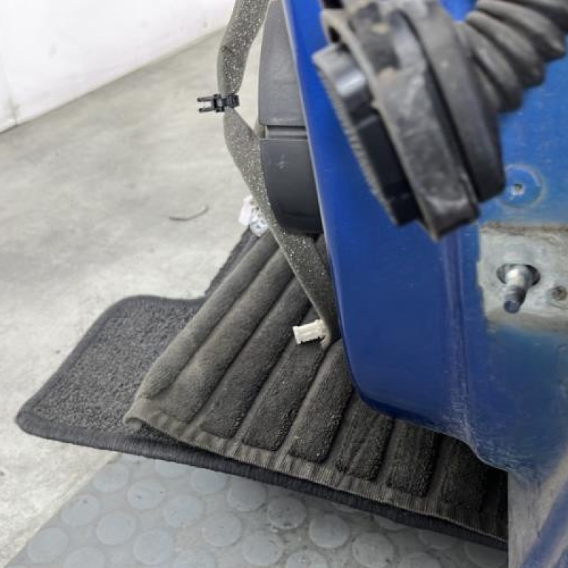 Porte avant gauche RENAULT SCENIC 3 Photo n°6