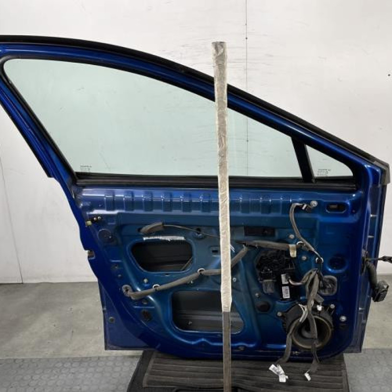 Porte avant gauche RENAULT SCENIC 3 Photo n°7
