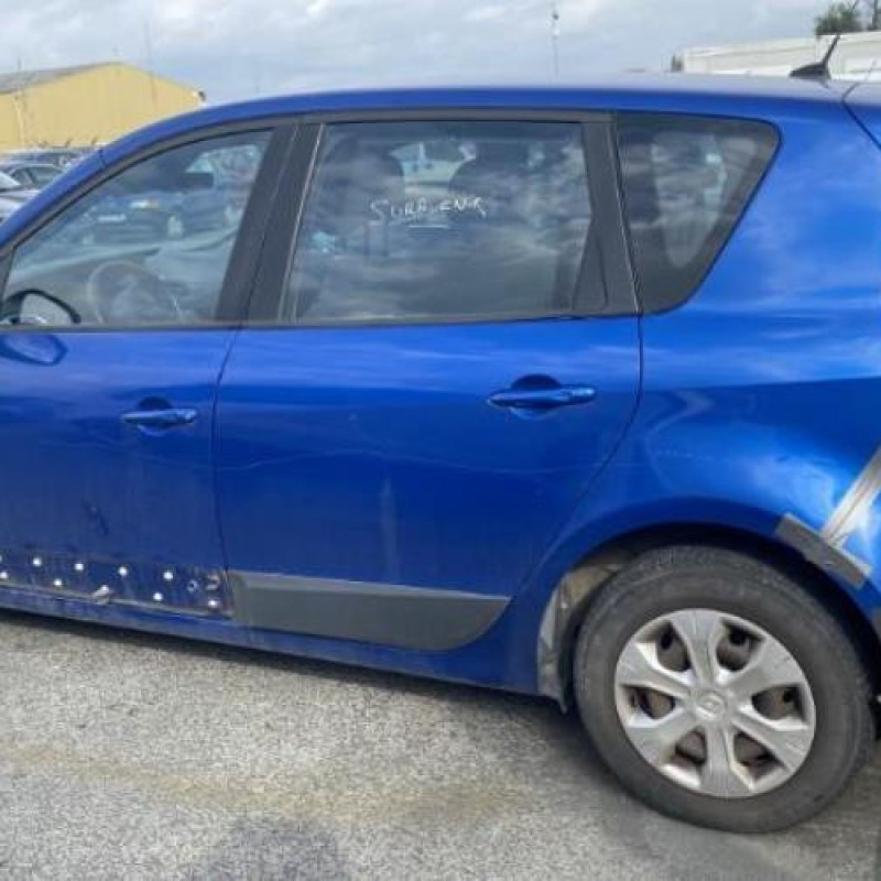 Porte avant gauche RENAULT SCENIC 3 Photo n°12