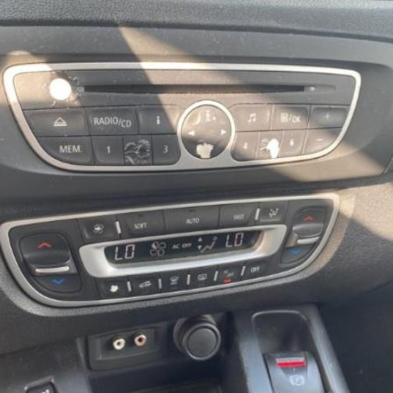 Porte avant gauche RENAULT SCENIC 3 Photo n°14
