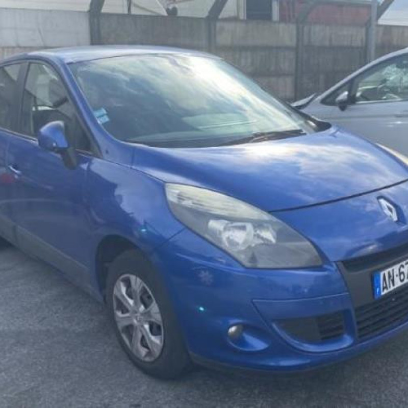 Porte avant gauche RENAULT SCENIC 3 Photo n°15