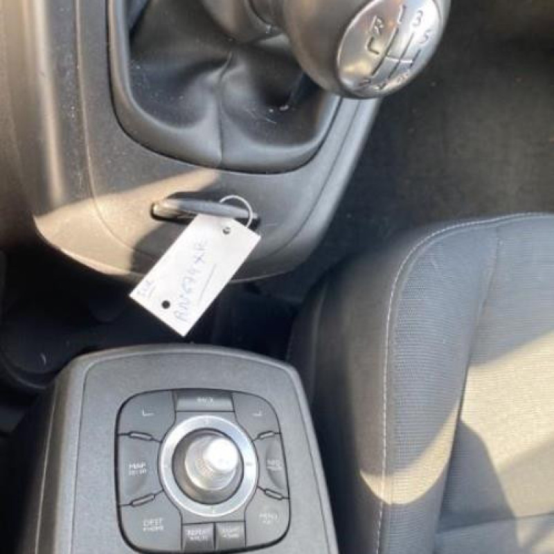 Porte avant gauche RENAULT SCENIC 3 Photo n°17
