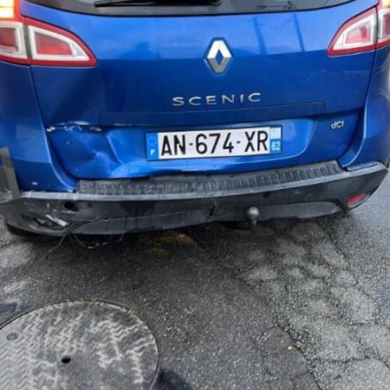Porte avant gauche RENAULT SCENIC 3 Photo n°18