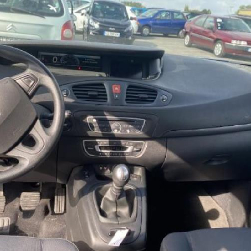 Porte avant gauche RENAULT SCENIC 3 Photo n°20