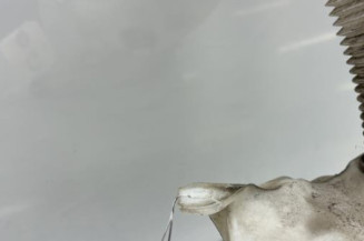 Vase de lave glace CITROEN C4 2