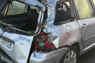 Feu arriere principal gauche (feux) PEUGEOT 307